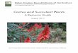 Cactus and Succulent Plants - San Francisco Botani and Succulent... · This is a guide to information sources on cactus and succulent plants at the ... Bibliografie časopisü o 