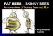 FAT BEES – SKINNY BEES -    BEES – SKINNY BEES An overview of honey bee nutrition Doug SomervilleDoug Somerville Australia