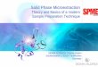 Theory and Basics of a modern Sample Preparation Technique · PDF fileTheory and Basics of a modern Sample Preparation Technique. sigma-aldrich.com 2 ... Detector: GC/MS quadrupole,
