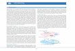 Cell Staining - Dojindo Molecular Technologies, Inc. · PDF fileviable cell staining. ... In order to obtain the best results, ... add an appropriate amount of solvent described in