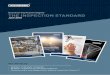 Oceaneering Asset Integrity THE INSPECTION · PDF fileOceaneering Asset Integrity THE INSPECTION STANDARD ... no conventional methods of Non-Destructive Testing ... inspection of