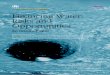 Financing Water: Risks and Opportunities - Finance · PDF file6 Financing water: risks and opportunities 2. Financial Institutions, Products and Practices ... project finance, including