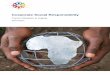 Corporate Social Responsibility - ao.undp. · PDF fileCorporate Social Responsibility ... different areas of corporate performance in terms of ... in the area of Education 3% of social