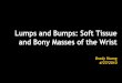 Lumps and Bumps: Soft Tissue and Bony Masses of the Wristbonepit.com/Lectures/Lumps and Bumps Soft Tissue... · Lumps and Bumps: Soft Tissue and Bony Masses of the Wrist Brady Huang