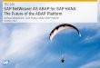 TEC106 SAP NetWeaver AS ABAP for SAP HANA The Wesselmann, Chief Product Owner ABAP Platform October, 2012 TEC106 SAP NetWeaver AS ABAP for SAP HANA The Future of the ABAP Platform