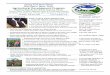 Northern New York Agricultural Development · PDF fileNorthern New York Agricultural Development Program ... & innovative research/outreach for Northern New York 2015 NNYADP ... (leek