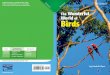 The Wonderful of Birds - Madeira City  · PDF fileUse a chart like the one below to help ... The Wonderful World of Birds by Linda B. Ross ... Penguins walk with a waddle