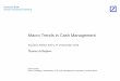 Macro Trends in Cash Management - Buckaroo Partnerdag 2015... · Macro Trends in Cash Management ... Treasurer’s role growing in importance and stature within the enterprise 