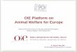 OIE Platform on Animal Welfare for Europeoldrpawe.oie.int/fileadmin/doc/eng/OIE_AW_events_ppts/OIE_Platform... · 1 OIE Platform on Animal Welfare for Europe Dr. Stanislav RALCHEV
