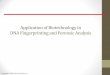 Application of Biotechnology in DNA Fingerprinting and ... · PDF fileDNA Fingerprinting and Forensic Analysis . ... •DNA fingerprinting uses a specific type of DNA sequence, known