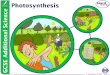 9. Photosynthesis - IGCSE Coordinated Sciences - · PPT file · Web view · 2013-07-29* Boardworks GCSE Additional Science: Biology Photosynthesis * Boardworks GCSE Additional Science: