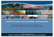 PROTECTING OUR MARINE TREASURES … OUR MARINE TREASURES Sustainable Finance Options ... PROTECTING OUR MARINE TREASURES . Sustainable Finance ... -UN Environment Programme and The