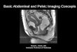 Basic Abdominal and Pelvic Imaging Concepts Abdominal... · Basic Abdominal and Pelvic Imaging Concepts David L. Smith, MD Assistant Professor of Radiology . ... Intravenous pyelogram
