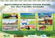 Agricultural Value Chain Guide for the Paciﬁ c Islandspafpnet.spc.int/attachments/article/504/Agricultural Value Chain...energetically encouraged interest in agricultural value chain