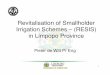 Revitalisation of Smallholder Irrigation Schemes – … Witt - Revitalisation of... · Ground rules • Revitalisation of smallholder irrigation schemes is a social development with