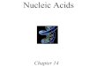 Nucleic Acids - Saddleback College Goals 1. Describe the makeup of nucleosides, nucleotides, oligonucleotides, and polynucleotides. 2. Describe the primary structure of DNA and 