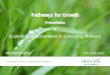 Pathways for Growth - Enterprise Ireland · PDF filePathways for Growth Presentation to ... Seafood €420m Hort. & Cereals. €210m Exports up 12% in 2011 ... Harvard Business School