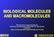 BIOLOGICAL MOLECULES AND …statgen.dps.unipi.it/courses_file/genetica/01-BiologicalMolecules.pdfCarbohydrates (sugars, starch and cellulose) ... (also called macro elements) make
