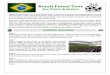 Brazil Futsal Simple Tour - cdn4. · PDF fileBrazil Futsal Tour ... The tour proposal will include a detailed itinerary, terms and conditions, and registration information. Also, pleases