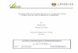 BEHAVIOR OF HORIZONTALLY CURVED STEEL  · PDF filePhone: (610)758-3525   Fax ... BEHAVIOR OF HORIZONTALLY CURVED STEEL TUBULAR-FLANGE BRIDGE GIRDERS ... Table 7.4 Case 1 for