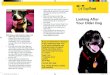 Looking After Your Older Dog - Dogs Rehoming & Dog ... · PDF fileLooking After Your Older Dog Rehoming an older dog from Dogs Trust • Older dogs often find themselves looking for