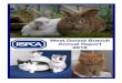 rspca taylors rehoming centre - RSPCA West Dorset · PDF file2016 annual report of the trustees of rspca west dorset branch (also known as rspca west dorset and axminster branch) charity