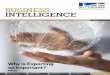 BUSINESS INTELLIGENCE - Hull and Humber Chamber of · PDF fileBUSINESS INTELLIGENCE ... Applies to new vehicles ordered between 1 January and 31 March 2015 and registered by 30 
