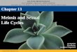 Meiosis and Sexual Life Cycles - · PDF file · 2014-03-07Comparison of Asexual and Sexual Reproduction •In asexual reproduction, ... •In most fungi and some protists, the only