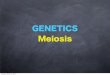 GENETICS Meiosis - The Bio Edge - · PDF file · 2014-02-07Proteins are the link between genotypes and phenotypes ... • Asexual Reproduction- ... • Sexual Reproduction/Meiosis