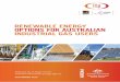 RENEWABLE ENERGY OPTIONS FOR AUSTRALIAN INDUSTRIAL · PDF fileRENEWABLE ENERGY OPTIONS FOR AUSTRALIAN ... cost to a biomass boiler is needed and delivered ... Renewable energy options