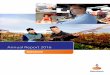 Annual Report 2016 - Home Rabobank Group · PDF file · 2018-01-17Annual Report 2016 250 10 August 2017 ... We are a leading customer-oriented cooperative ... Rabobank commits itself