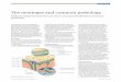 The meninges and common pathology - · PDF file12/7/2010 · the pia mater. Together they cushion the ... The meninges and common pathology Understanding the anatomy can lead to prompt