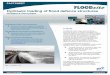 Hydraulic loading of flood defence structures - · PDF fileHydraulic loading of flood defence structures ... conditions for different types of flood defence structures such as sea