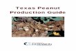 Texas Peanut Production Guidepeanut.tamu.edu/files/2011/10/D__peanut_pdfs_productionguide07_3.pdfTexas Peanut Production Guide . Contributors ... obtains its nutrition from the plant
