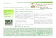 ASSOCIATION OF COMPOST PRODUCERS · PDF fileASSOCIATION OF COMPOST PRODUCERS NEWSLETTER August 2011 Volume 2, Issue 6 “We Build Healthy Soil” COMPOST PRODUCER ACTIONS ... companies