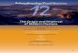 The Origin and Dispersal of Modern Humansanthropology.msu.edu/iss220-fs12/files/2012/08/understanding... · The Origin and Dispersal of Modern Humans ... Where did the transition