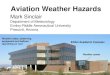 Aviation Weather · PDF fileAviation Weather Hazards Mark Sinclair Department of Meteorology Embry-Riddle Aeronautical University Prescott, Arizona Weather center Weather radar, observing