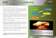 vula.uct.ac.za · PDF file · 2011-07-30of acid rain. During the late ... industrial accident in Texas City in the United States. ... explosives process, mixed with clay, petrolatum,