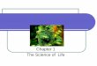 Chapter 1 The Science of Life - Wikispaces 1: Biology: the study of life What is Life? 1.7 The Nature of Science Science is way of knowing Seeks causes for natural phenomena 