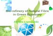 Bio-refinery of Natural Fibre in Green Economy - UPVpersonales.upv.es/~vamigo/Alcides/Bio-refinery of Natural Fibre in... · Pulping: Pathway to Bio-refinery Future ... - Acetic acid