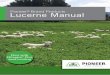 Brand Products Lucerne Manual - Pioneer · PDF filePioneer ® Brand Products Lucerne Manual. Introduction 4 Establishment 5 Paddock selection 5 Weed control 235 Autotoxicity 6 Sulfonylurea