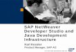 SAP NetWeaver Developer Studio and Java Development ...?Developer Studio and Java Development Infrastructure ... Web Dynpro Runtime J2EE ABAP Web Development for ... Minimal coding,