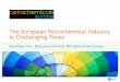 The European Petrochemical Industry in Challenging Times · PDF fileThe European Petrochemical Industry in Challenging Times Dorothee Arns, Executive Director Petrochemicals Europe