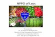 NPPO of Laos - IPPC · PDF fileNPPO of Laos. Legislation ... *Deposit Instrument: 24 December 2006 Membership of IPPC. DEPARTMENT OF AGRICULTURE /NPPO Admin. Division Technical