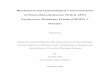 Biochemical and Immunological Characterization of ...ediss.sub.uni-hamburg.de/volltexte/2006/2925/pdf/YS_Chia_Diss.pdfBiochemical and Immunological Characterization of Plasmodium falciparum
