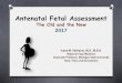 Antenatal Fetal Assessment 2013michigansonographerssociety.org/wp-content/uploads/2… ·  · 2017-04-21Objectives O Define the role of antenatal fetal assessment O List the methods