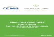 Direct Data Entry (DDE) User’s Guide - Palmetto GBA Document Control Number DDE Direct Data Entry DME Durable Medical Equipment DRG Diagnosis Related Grouping ... DIRECT DATA ENTRY