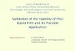 Validation of the Stability of PbLi Liquid Film and its … of the Stability of PbLi Liquid Film and its Possible Application Fumito Okino Graduate School of Energy Science, Kyoto