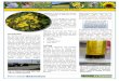 Oilseed Fact Sheet: Oil Filtration - The University of · PDF fileOilseed Fact Sheet: Oil Filtration Introduction As oilseeds are pressed to separate the oil and meal, particles of