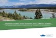 ASSESSING CUMULATIVE EFFECTS OF CANADIAN WATERS · PDF fileASSESSING CUMULATIVE EFFECTS OF CANADIAN WATERS ... p measuring changes in response indicators relative to ... ASSESSING